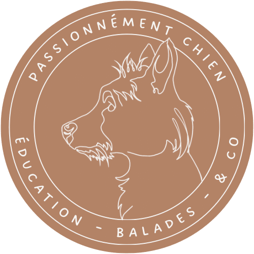 Passionnément chien - éducation du chiot Bordeaux