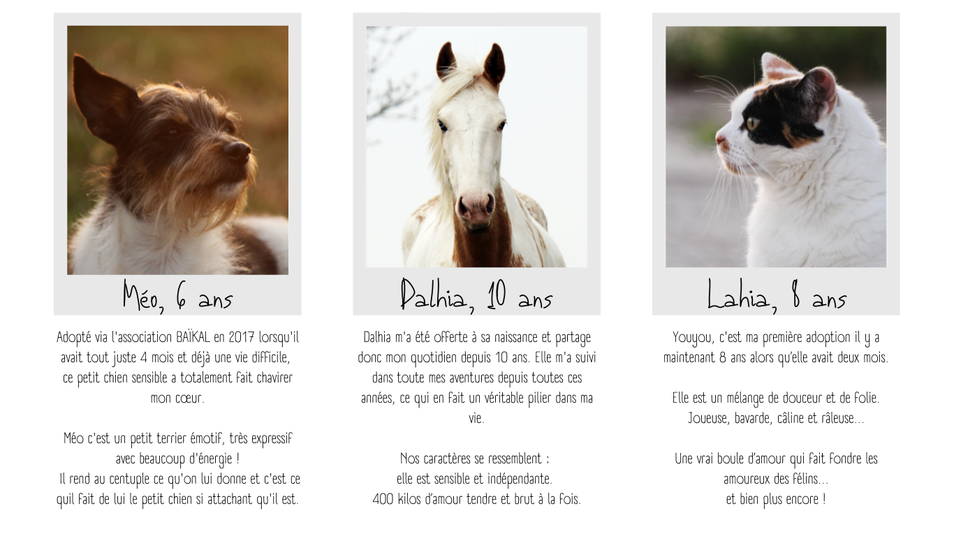 MES ANIMAUX