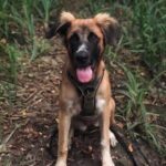 68D5A730-A345-4C03-A2F3-F555028BBD34