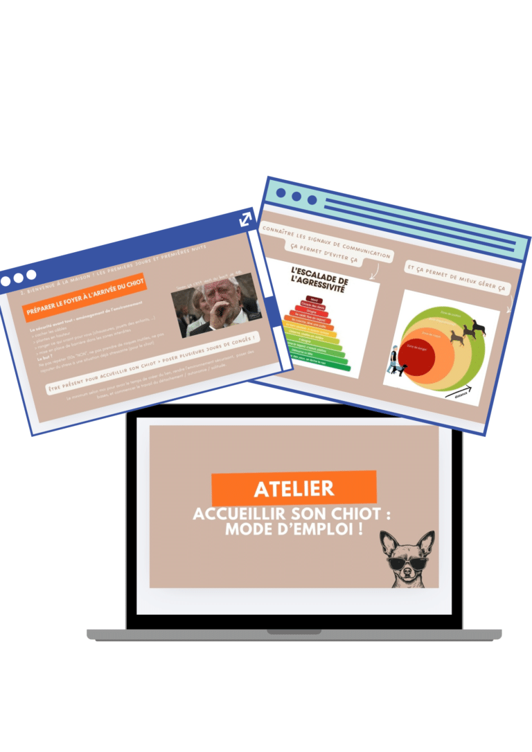 L’atelier accueillir son chiot