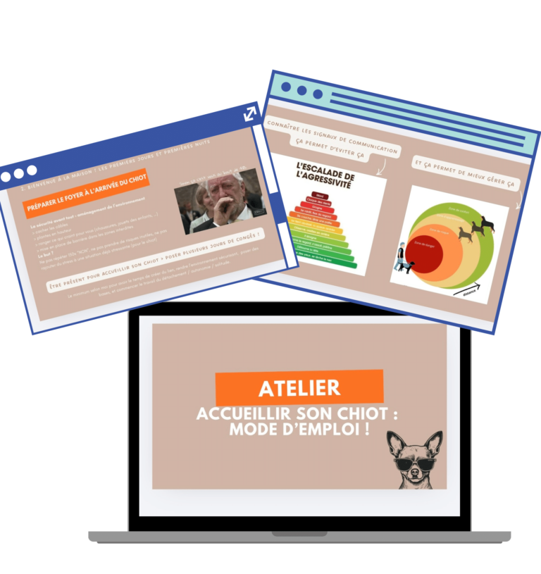 Programme d’accompagnement pré-adoption chiot