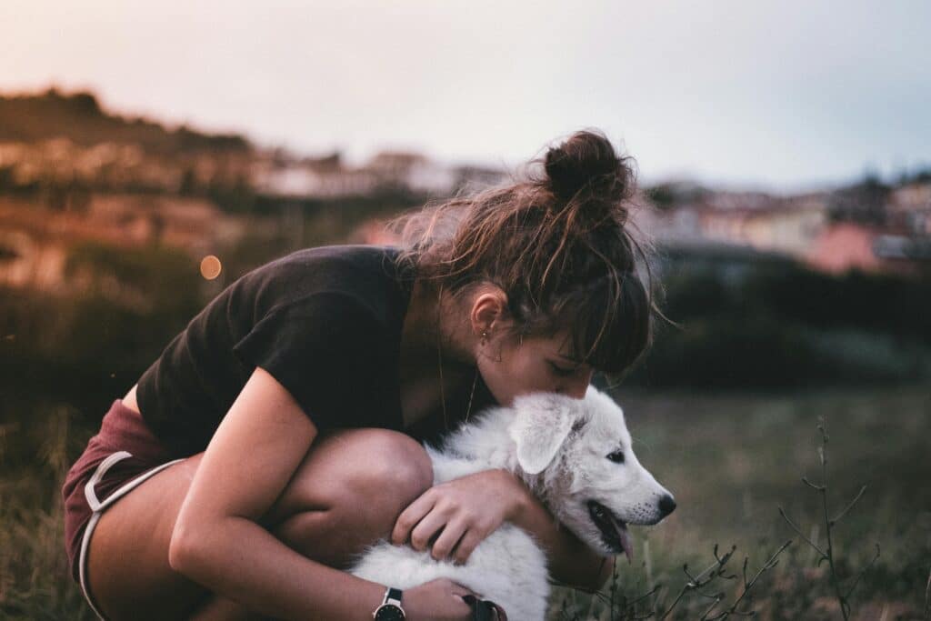 Accueillir son chiot